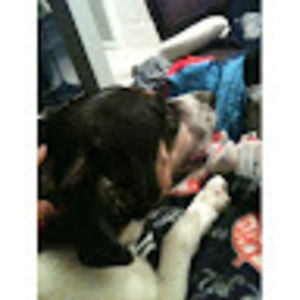 Meet your Posher, Greg